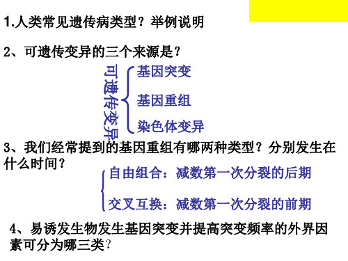 杂交育种与诱变育种PPT课件