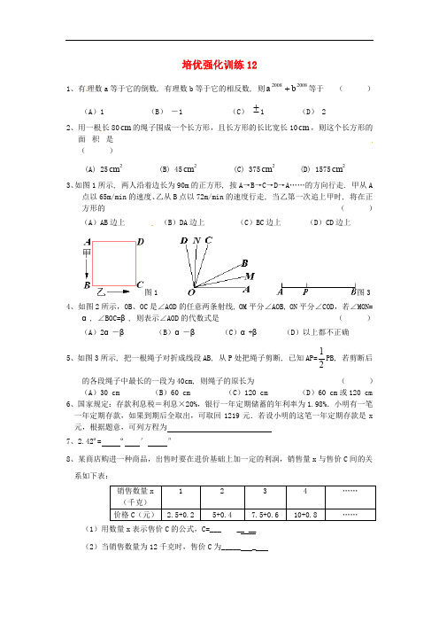 精编人教版七年级数学上册培优强化训练题共15套(含答案)12