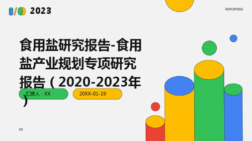 食用盐研究报告-食用盐产业规划专项研究报告(2020-2023年)