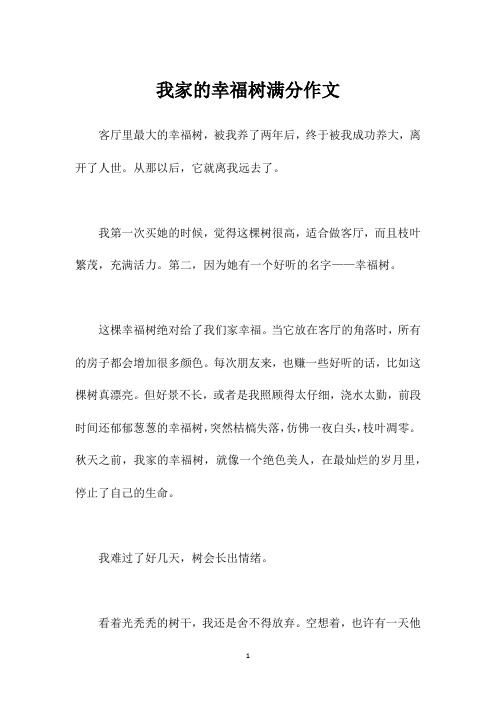 我家的幸福树满分作文