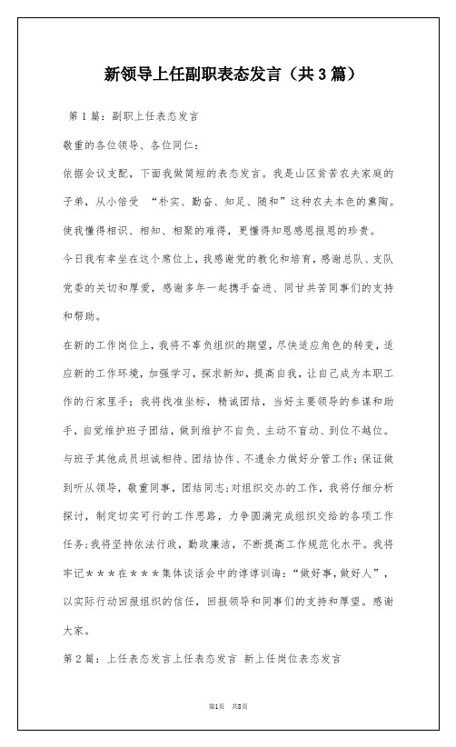 新领导上任副职表态发言(共3篇)