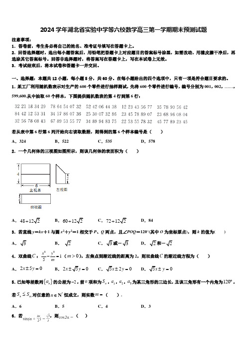 2024学年湖北省实验中学等六校数学高三第一学期期末预测试题含解析