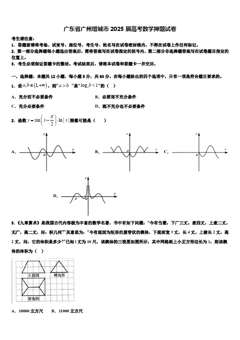 广东省广州增城市2025届高考数学押题试卷含解析