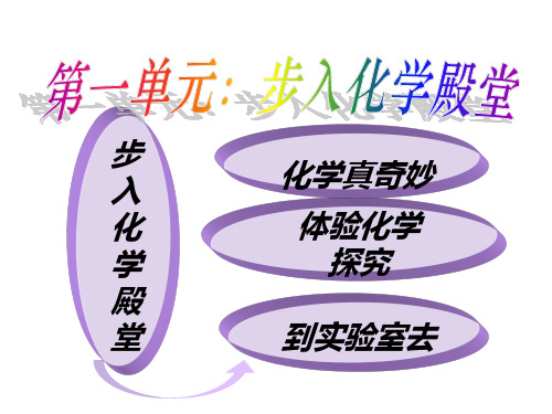 鲁教版初中化学课标版九年级全册第一单元到实验室去：化学实验基本技能训练(一)(共9张PPT)