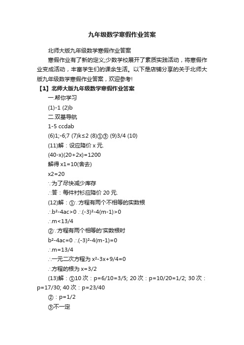 九年级数学寒假作业答案