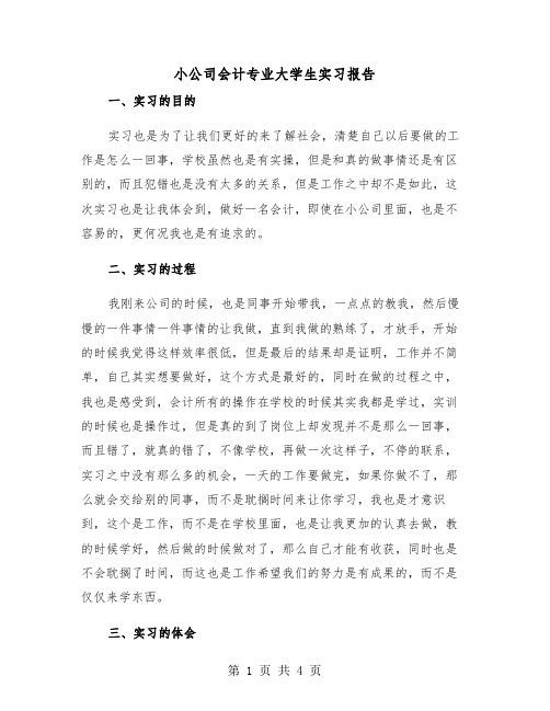 小公司会计专业大学生实习报告(二篇)