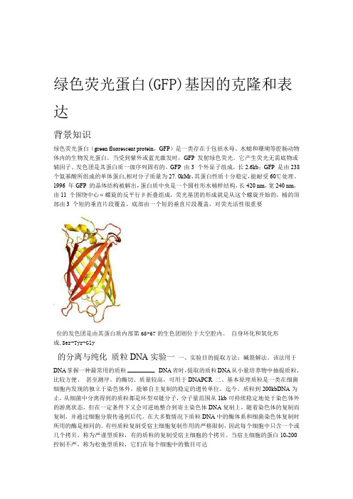 绿色荧光蛋白GFP基因的克隆和表达新手详细注释版资料