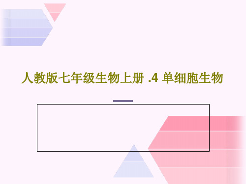 人教版七年级生物上册 .4 单细胞生物22页PPT