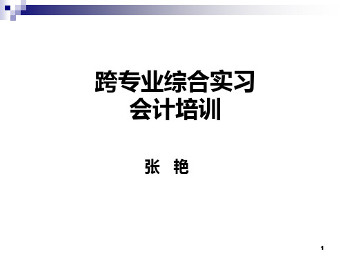 跨专业综合实习会计培训