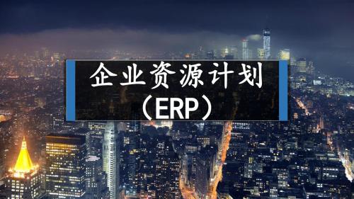 企业资源管理计划(ERP)