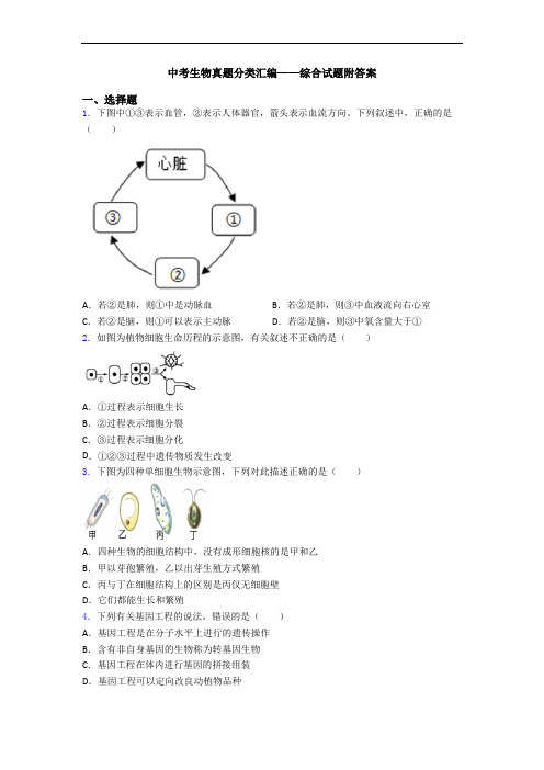 中考生物真题分类汇编——综合试题附答案