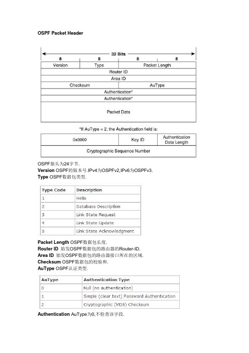 OSPF数据包结构解析