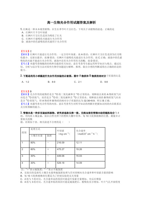 高一生物光合作用试题答案及解析
