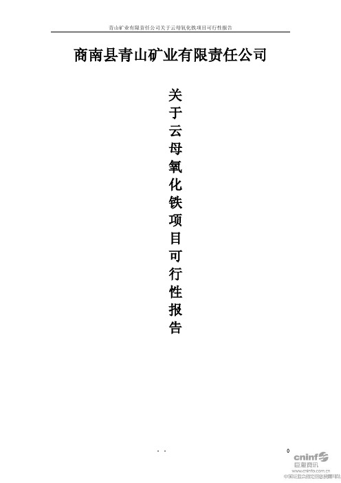 商南县青山矿业有限责任公司.pdf