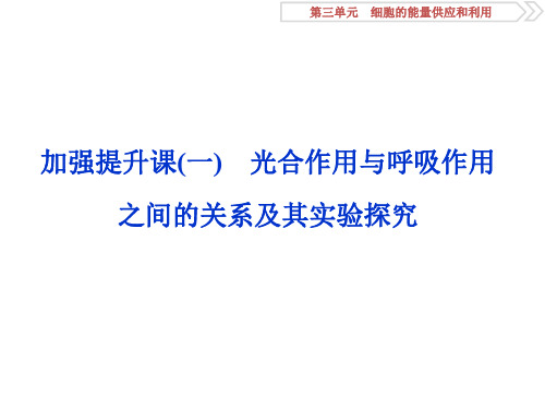 高考生物总复习 第三单元 细胞的能量供应和利用 加强