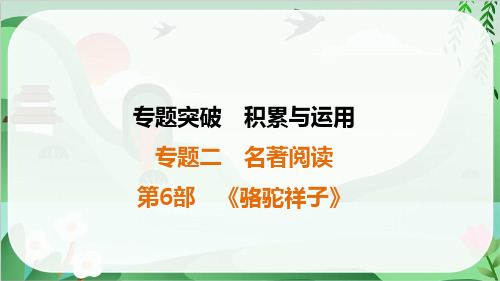 2025年中考语文总复习积累与运用专题2名著阅读第6部《骆驼祥子》