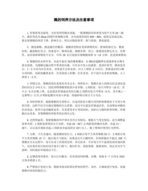 鹅的饲养方法及注意事项