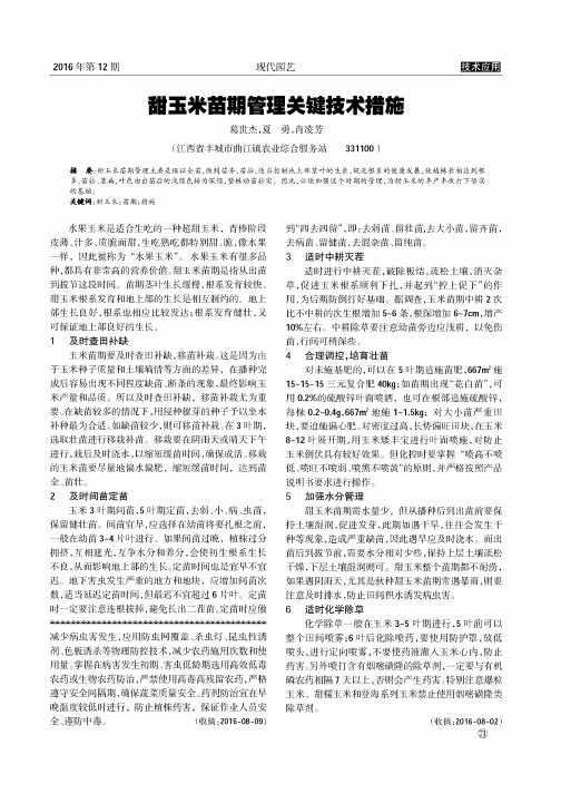 甜玉米苗期管理关键技术措施