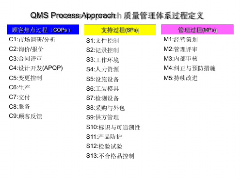 QMSProcess质量管理体系提问表乌龟图