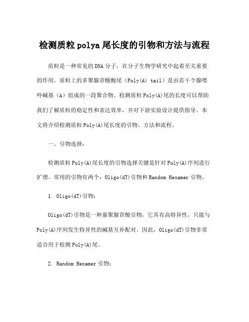 检测质粒polya尾长度的引物和方法与流程