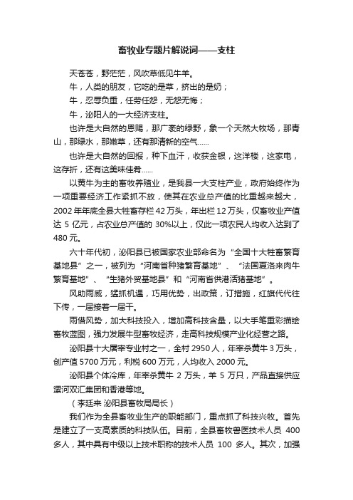 畜牧业专题片解说词——支柱