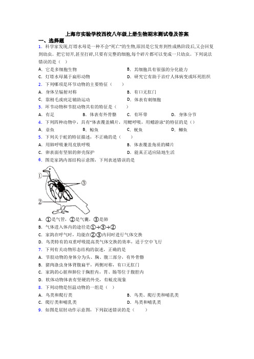 上海市实验学校西校八年级上册生物期末测试卷及答案