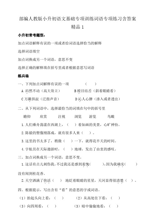 2020部编人教版小升初语文基础专项训练词语专项练习含答案