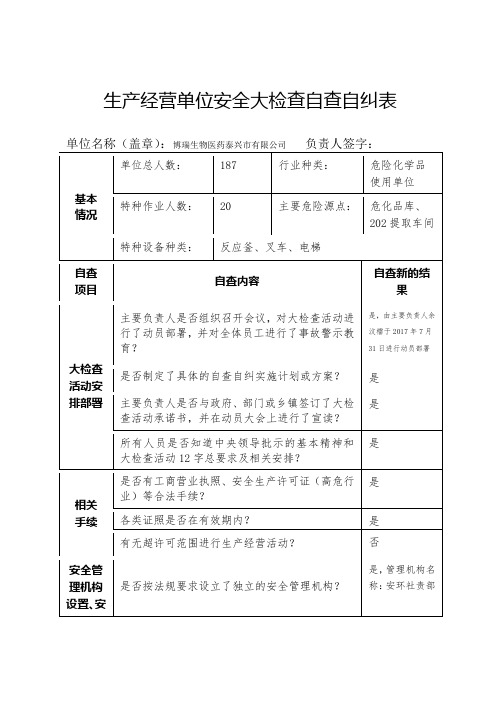 全国安全生产大检自查自纠表