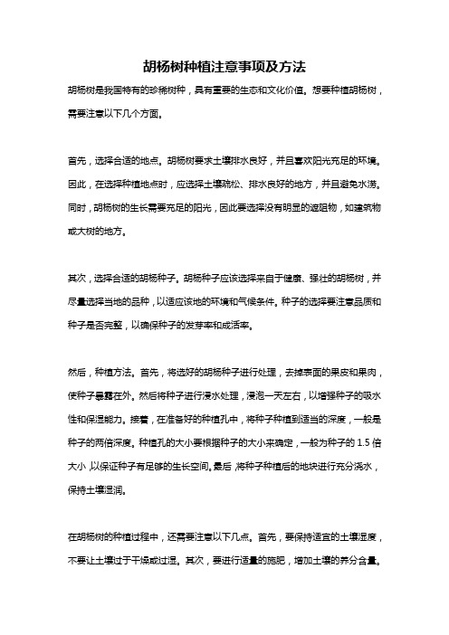 胡杨树种植注意事项及方法