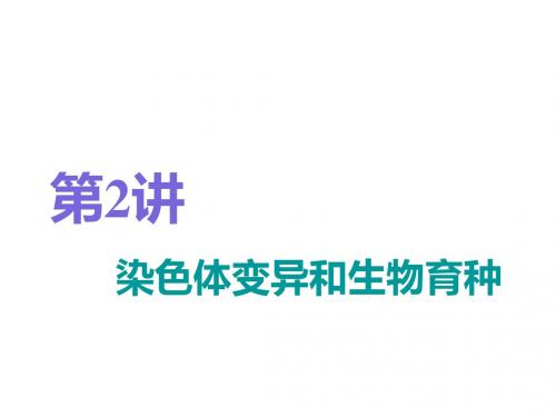 2019届 一轮复习人教版 染色体变异和生物育种 课件