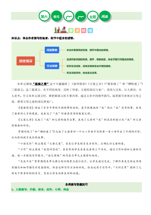 第六单元“舐犊之情”(主题阅读)-2023-2024学年五年级语文上册阅读理解(统编版)