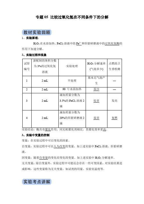 专题05 比较过氧化氢在不同条件下的分解(解析版)