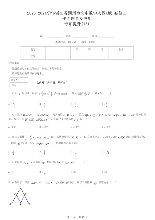 2023-2024学年浙江省湖州市高中数学人教A版 必修二平面向量及应用专项提升-15-含解析