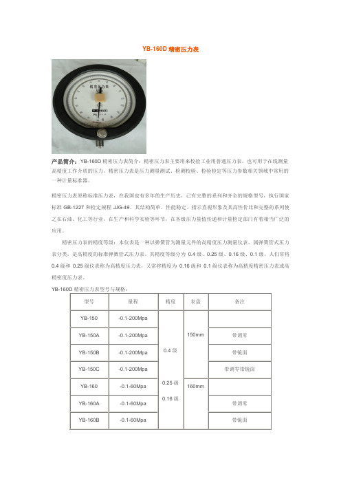 YB-160D精密压力表