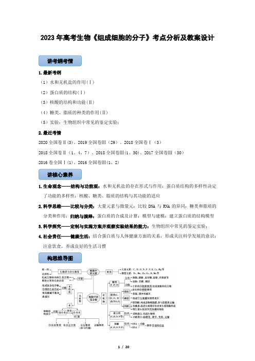 2023年高考生物《组成细胞的分子》考点分析及教案设计