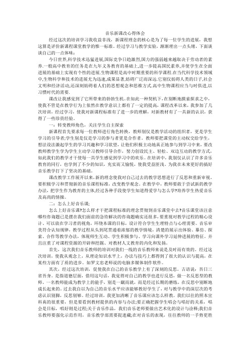 音乐新课改心得体会