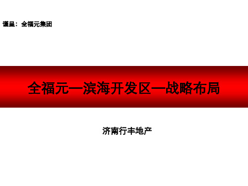 潍坊全福元滨海经济开发区项目报告