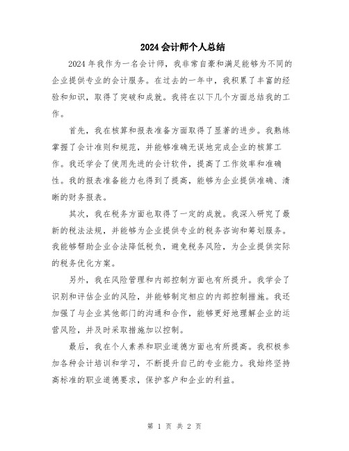 2024会计师个人总结