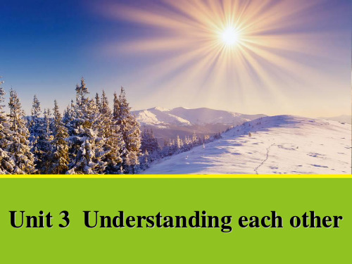 牛津译林版高中英语选修六Unit 3《Understanding each other》(Period Six)课件2