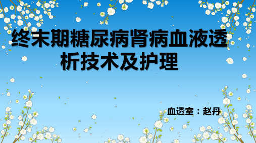 终末期糖尿病肾病血液透析技术及护理幻灯片