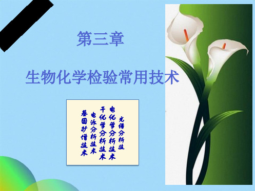 生物化学检验常用技术(共66张PPT)