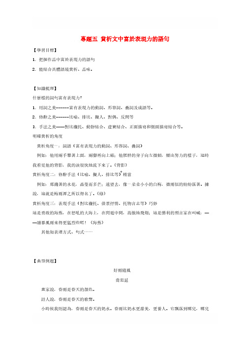 Y_江苏省海安县2019届中考语文专题复习专题五现代文阅读之赏析有表现力的语句学案含答案_174-语文精选