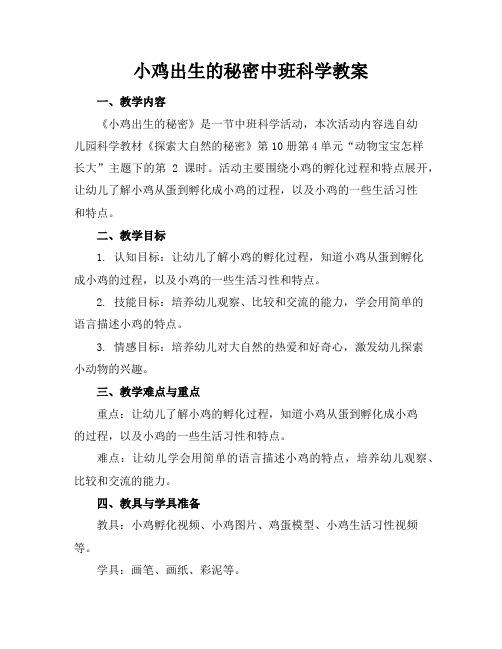 小鸡出生的秘密中班科学教案