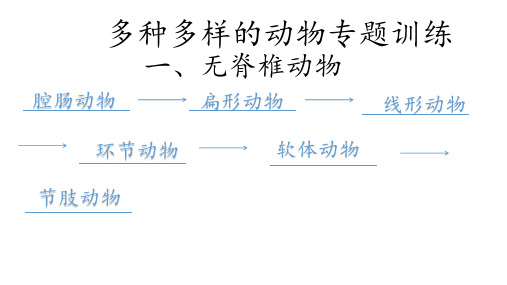 多种多样的动物专题训练