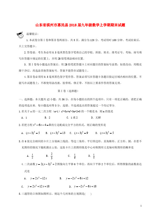 2018届九年级数学上学期期末试题新人教版