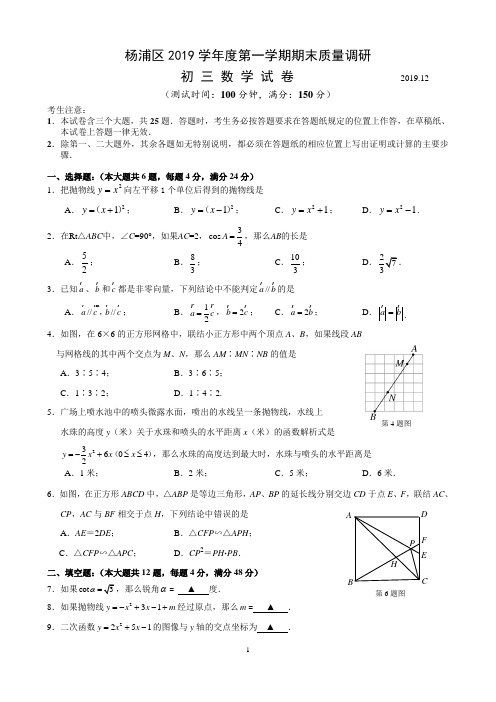 (word完整版)2020年上海杨浦初三数学一模试卷及答案,推荐文档