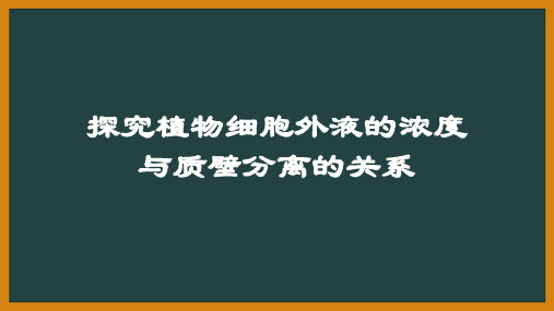 高中生物质壁分离实验公开课PPT课件