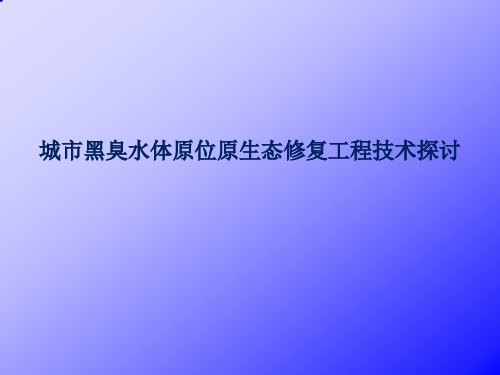 城市黑臭水体原生态修复工程技术探讨