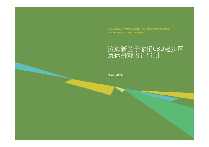 天津滨海新区于家堡CBD起步区总体景观设计导则(51页)