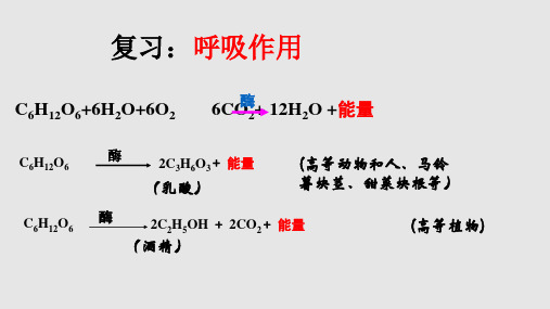 光合作用发现的历程PPT课件